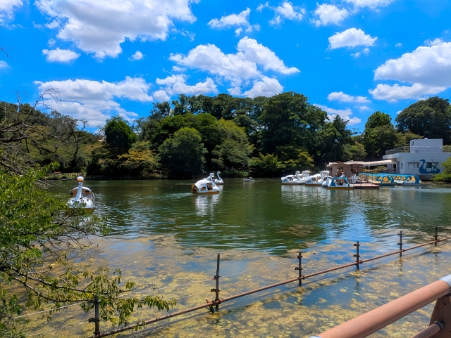 井の頭恩賜公園